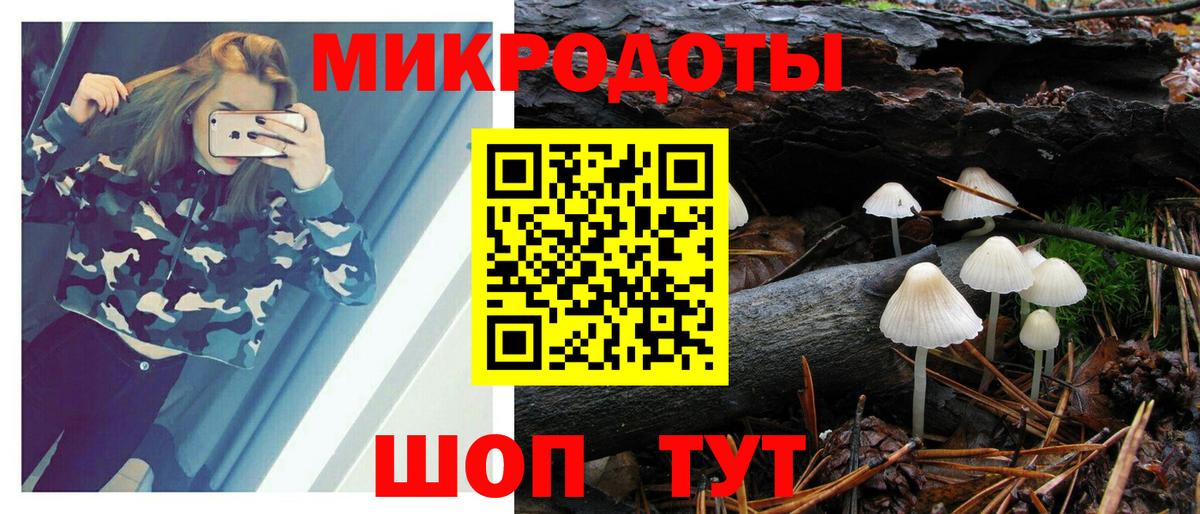 Псилоцибиновые грибы Psilocybine cubensis Орёл
