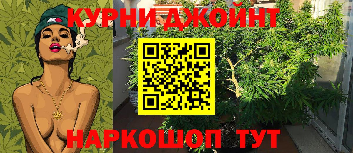 Конопля марихуана Орёл